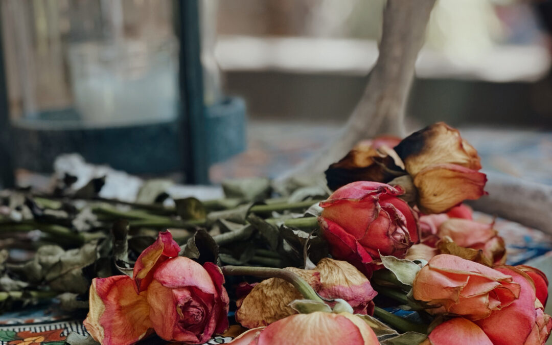 Everything is Just Happening.