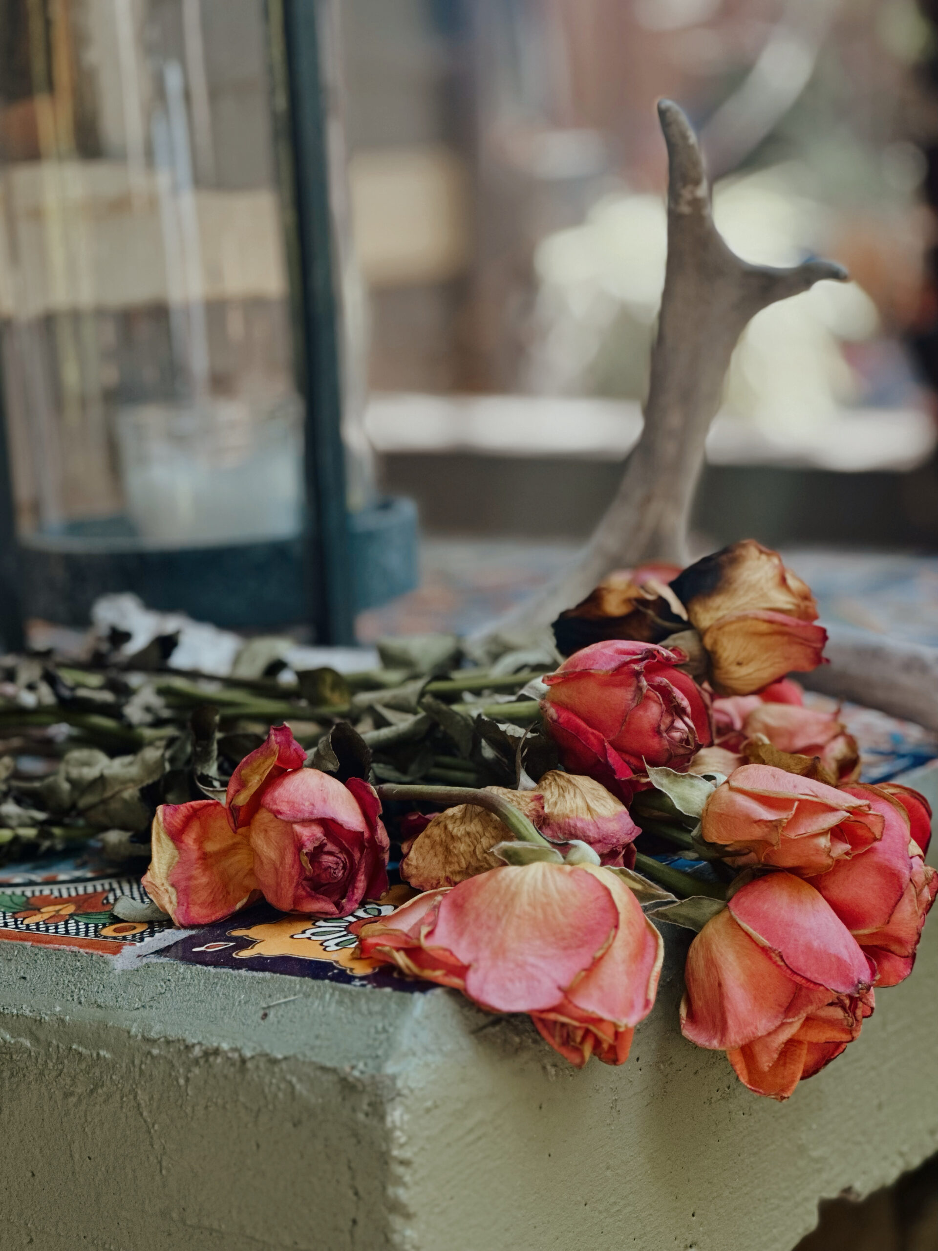 Processed with Lensa with AV1 filter